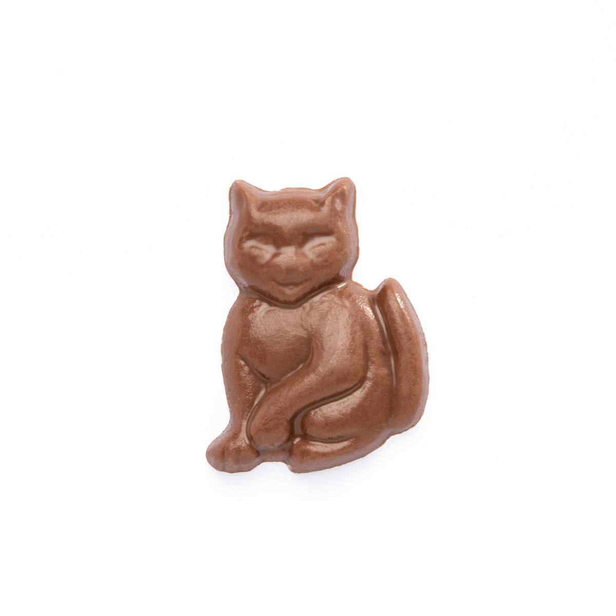9 Solid Chocolate Cats & Dogs