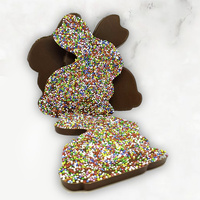 Chocolate Bunny 100g with Sprinkles