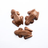 10 Chocolate Frogs