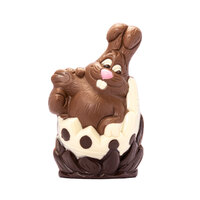 Jesse Bunny In Egg 250g