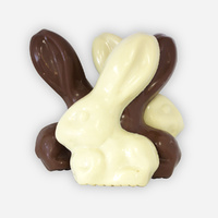 Chocolate Bunny 160g