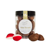 Mini Treat Jar Milk Chocolate Berries & Cream 160g