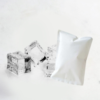  Ice Pack   (Optional add-on)